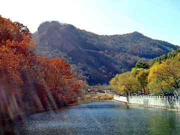 澳门天天免费精准大全，重生之轮回六道